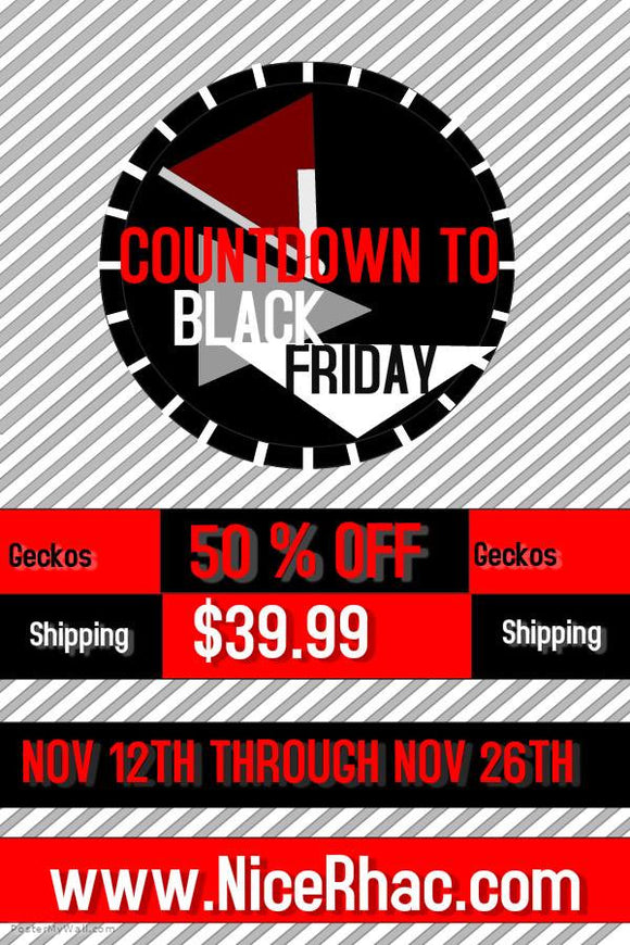 Black Friday, Cyber Monday,  and Shipping Schedule