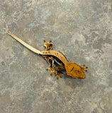 Lilly White Crested Gecko