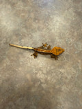 Pinstripe Crested Gecko with Portholes