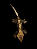 Male Pinstripe Crested Gecko for sale