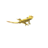 Adult Male Pinstripe Crested Gecko